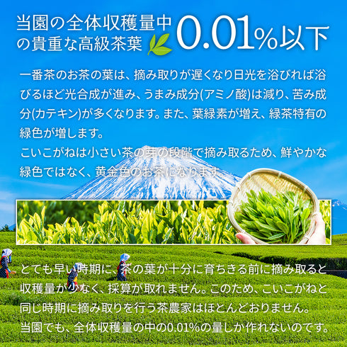 限量特蒸Koikogane茶葉100g新茶2023